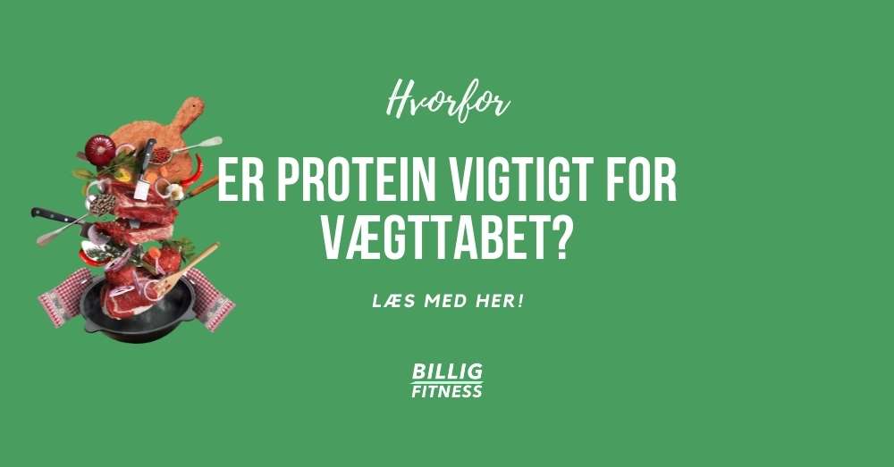 Hvorfor er det nu lige at protein er vigtigt for vægttabet?