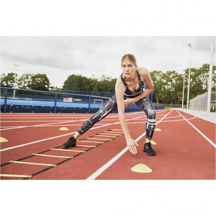 Dobbelt Agiliy-Stige