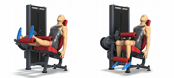 Professionel 2 i én Bentræner (Skaffevare)