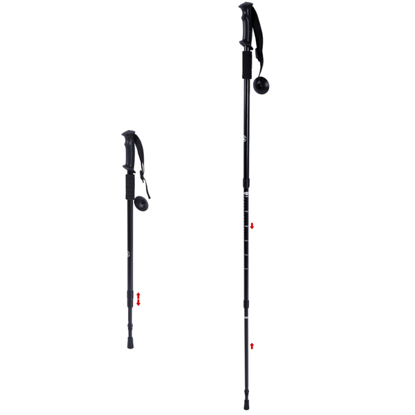 Nordic walking stave (2 styk)
