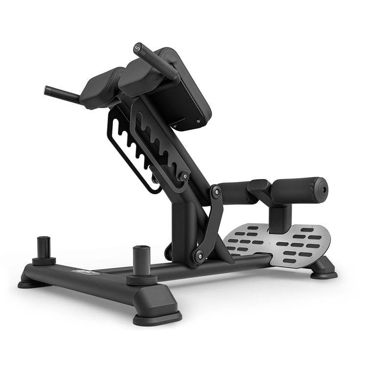 Professionel Rygtræningsbænk fra UpForm (Skaffevare)