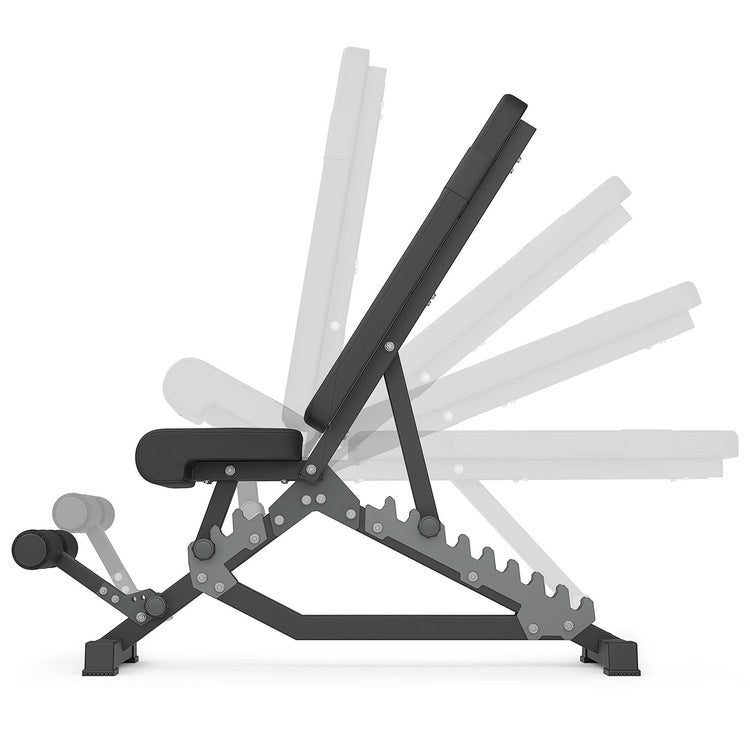 Semi-Pro Dobbelt-justerbar skråbænk/træningsbænk