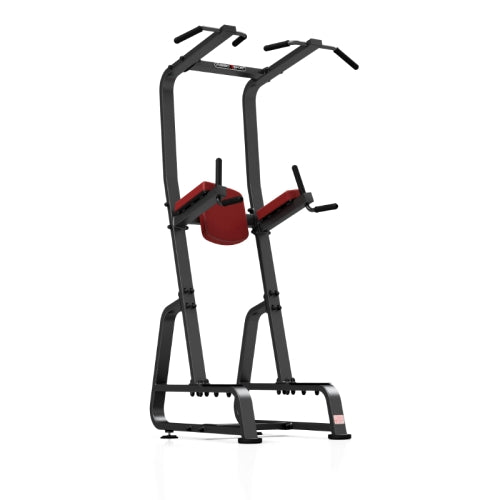 Professionel Dips og Mavetræningsstativ