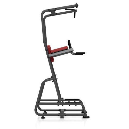 Professionel Dips og Mavetræningsstativ