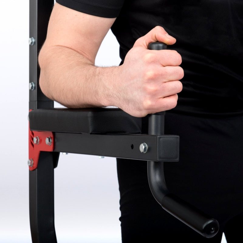 Home Chin up / Pull Up / Dip station