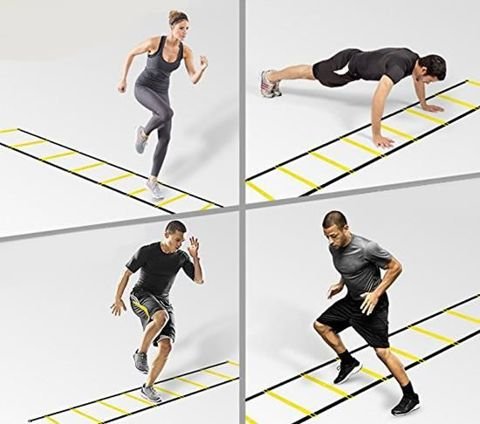 Agility stige / ladder - 6 meter