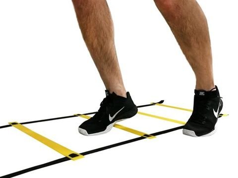 Agility stige / ladder - 6 meter