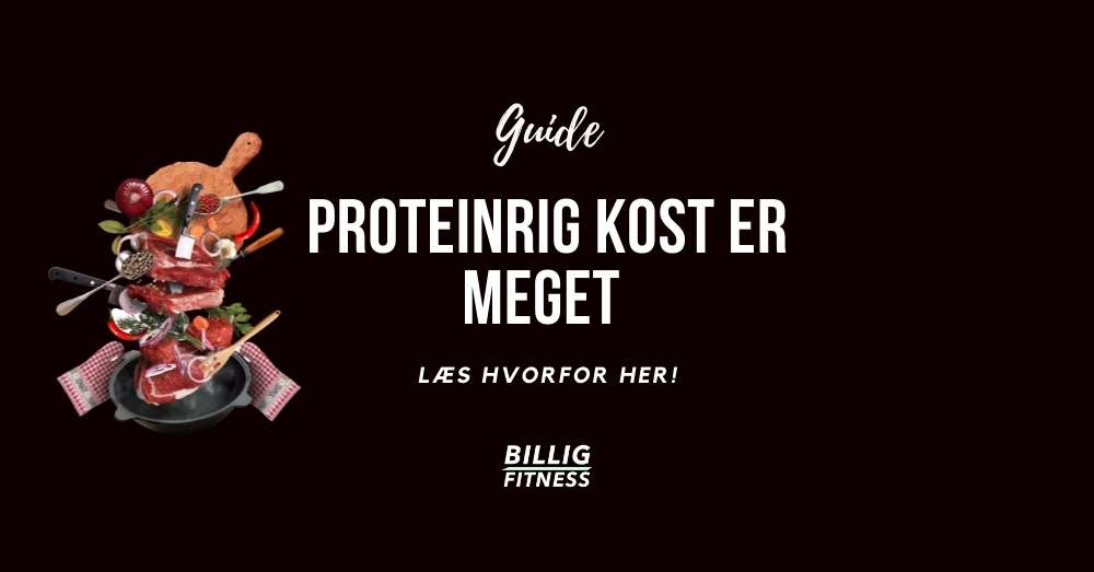 Guide: Proteinrig kost er meget vigtigt - Læs her hvorfor