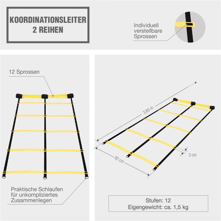 Dobbelt Agiliy-Stige