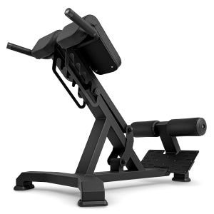 Professionel Fitnesscenter Rygtræner
