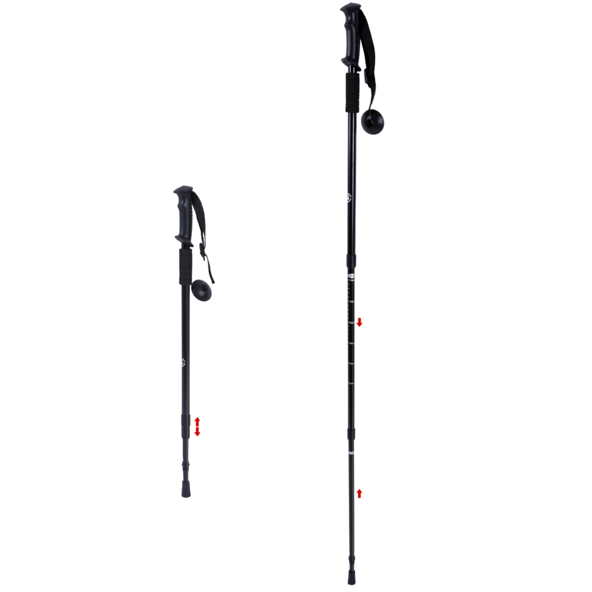 Nordic walking stave (2 styk)