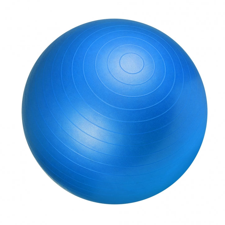Se Træningsbold 65 cm (blå) - Nordic Strength hos Billig-fitness.dk