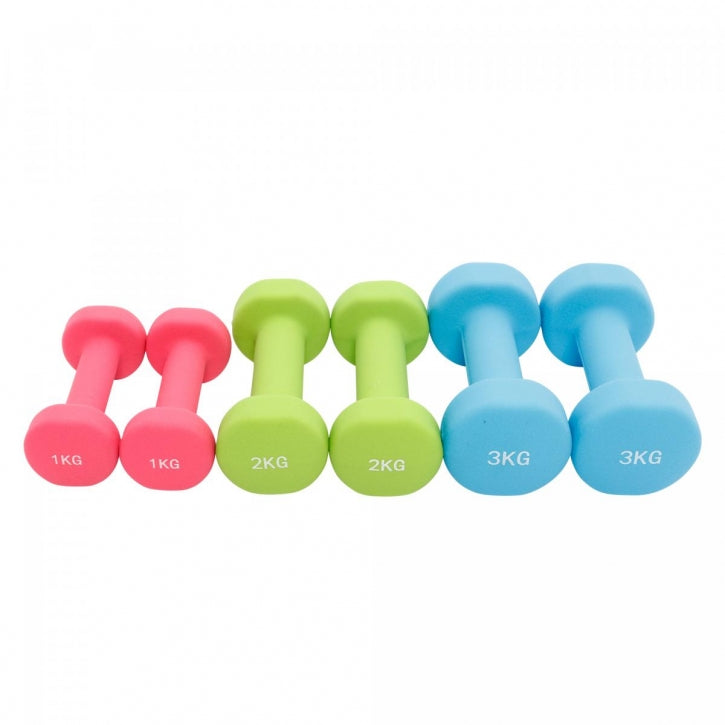 Aerobic håndvægtsæt med kuffert (12 kg)
