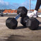Håndvægt Hexagon (35 kg)