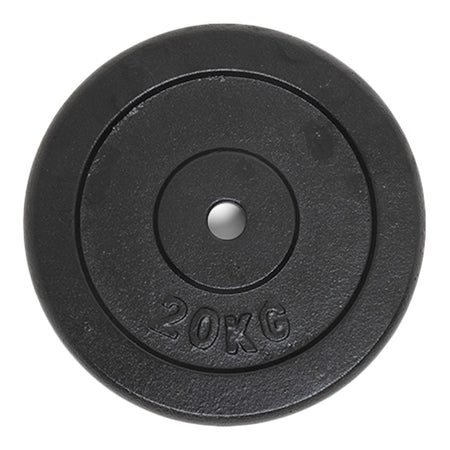 Vægtskive i jern 20 kg (30 mm)