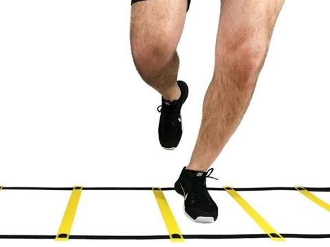 Agility stige / ladder - 6 meter
