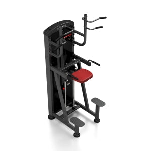 Assisteret Pull up / Dip station (skaffevare)